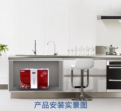 蘋果八代新款RO機(jī)凈水器 家用純水機(jī)的價(jià)格與廠家解析